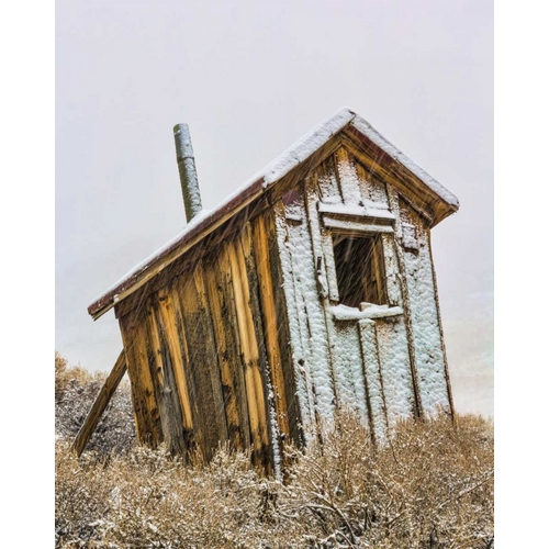 USA, California, Bodie Solitary outhouse